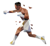 boxing-5-cms