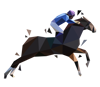 horse-56