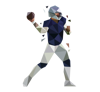 nfl-6-cms