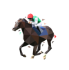horse-57-cms