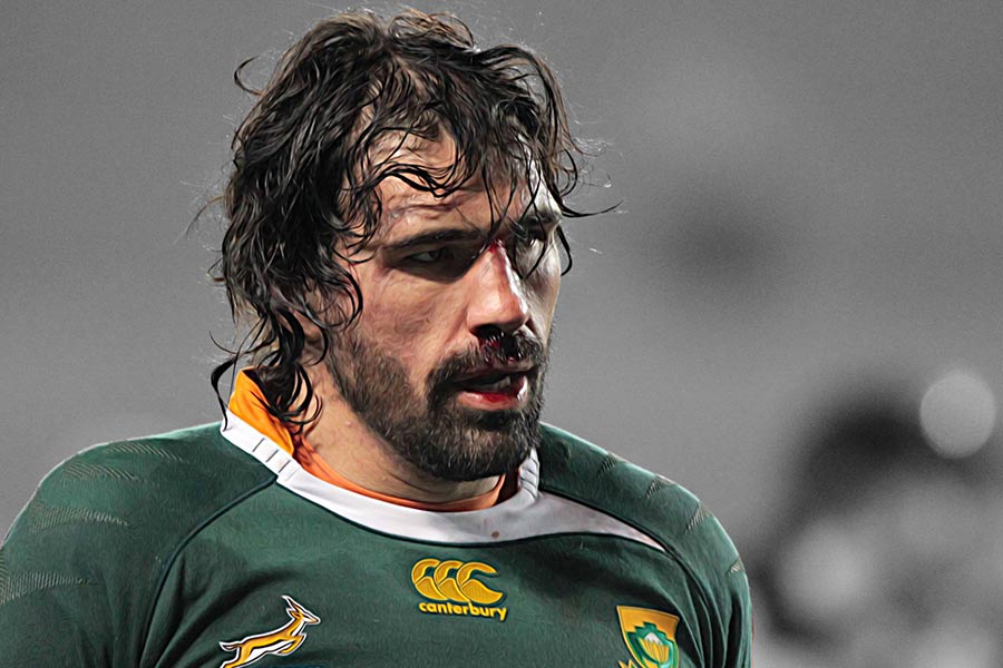 Springbok Decade Series: 2010