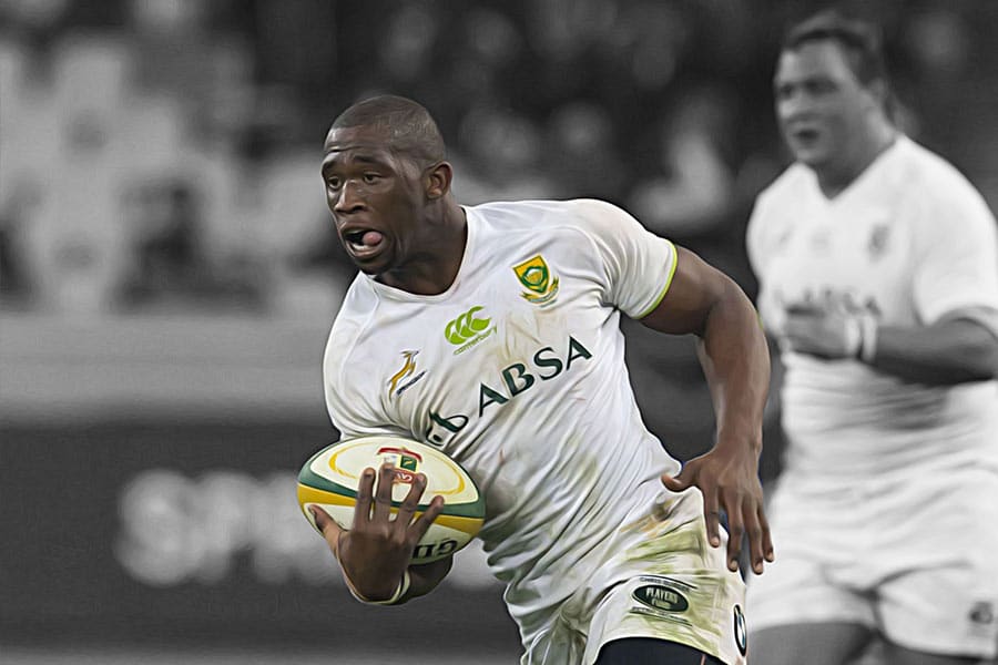 Springbok Decade Series: 2013