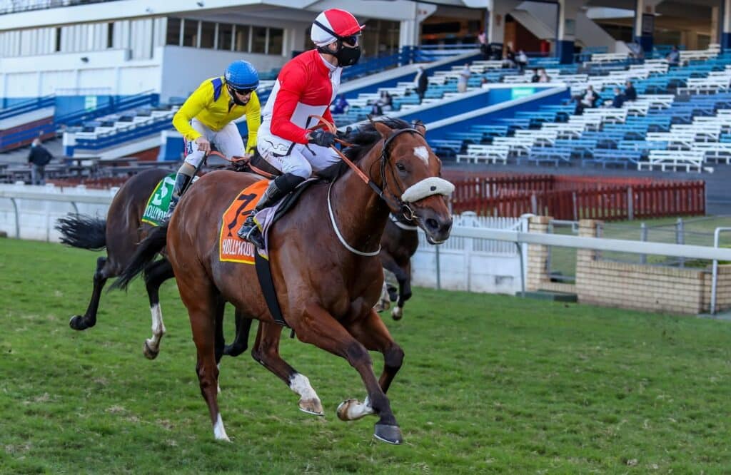 rainbow bridge durban july