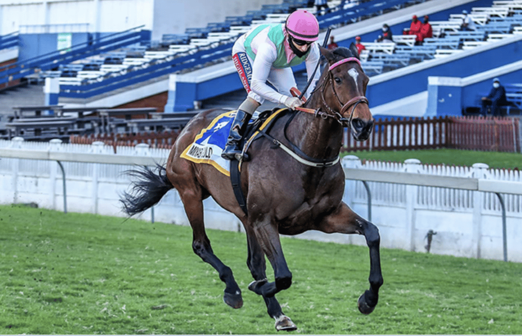 miyabi gold durban july