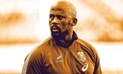 Springbok Coach Candidates