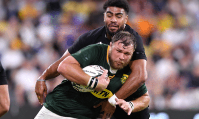 Vermeulen Springboks Rugby Championship