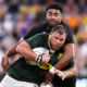 Vermeulen Springboks Rugby Championship