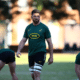 Springbok Players Spotlight Australia