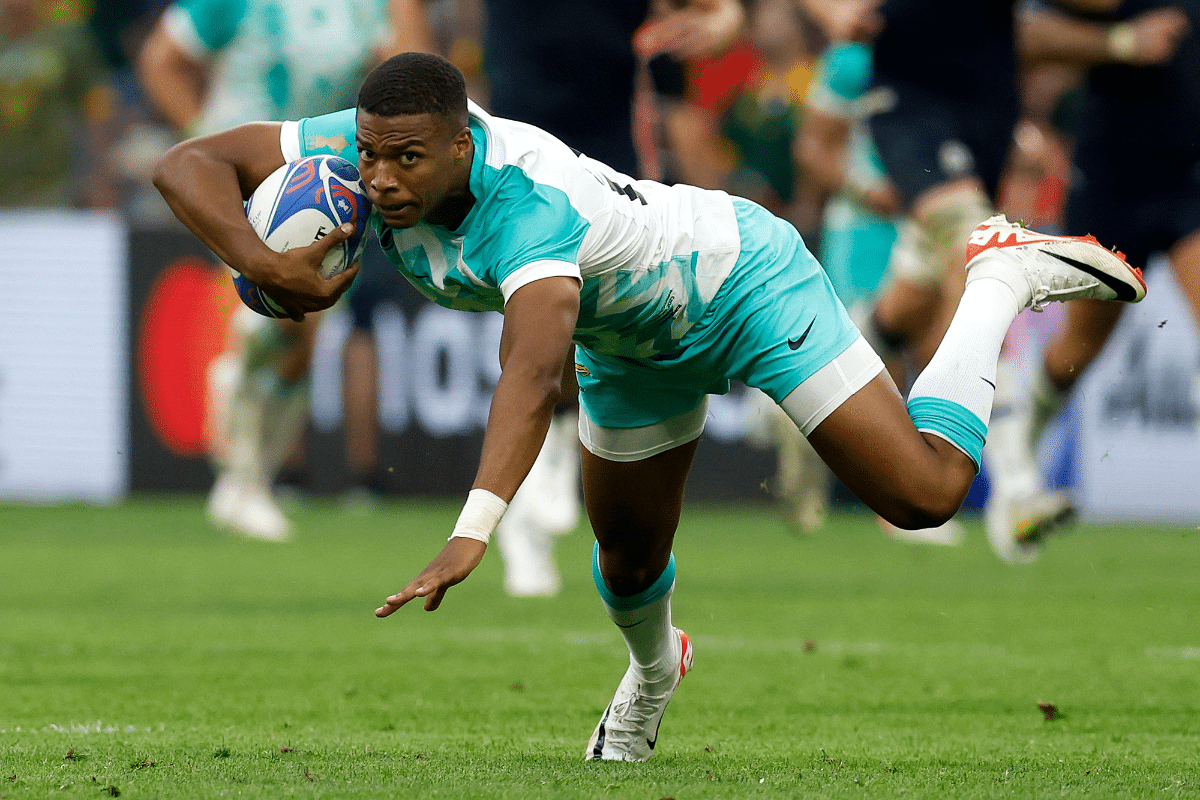 Springbok Spotlight Romania World Cup