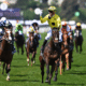 Horse Racing