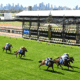 Horse Racing